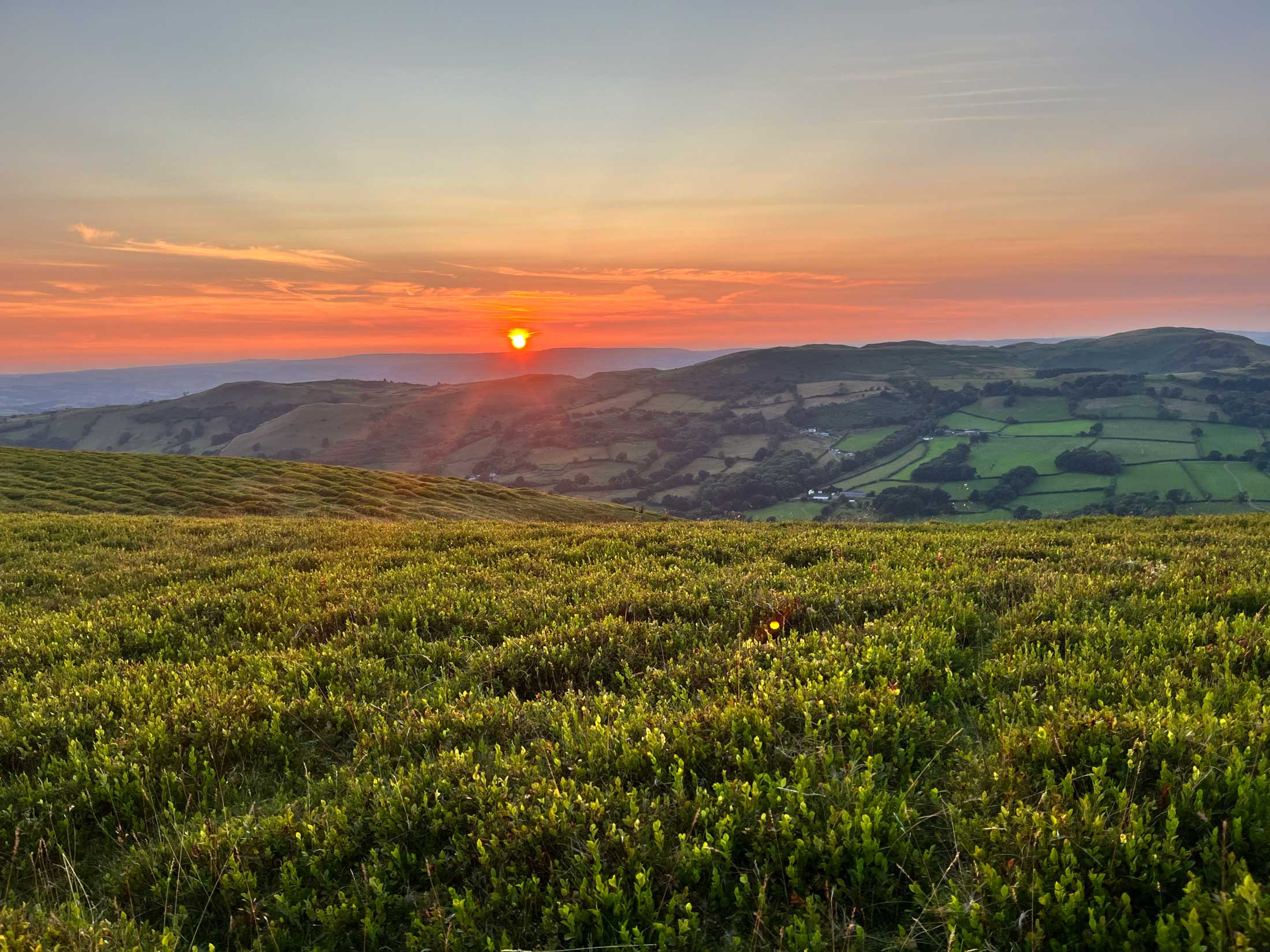 Landscape